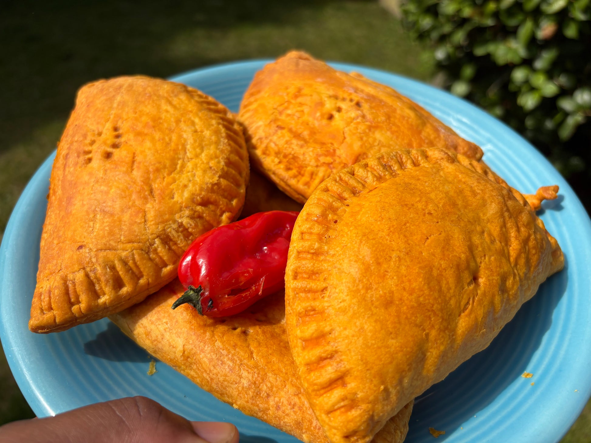 Three golden-brown patties on a blue plate with a red pepper