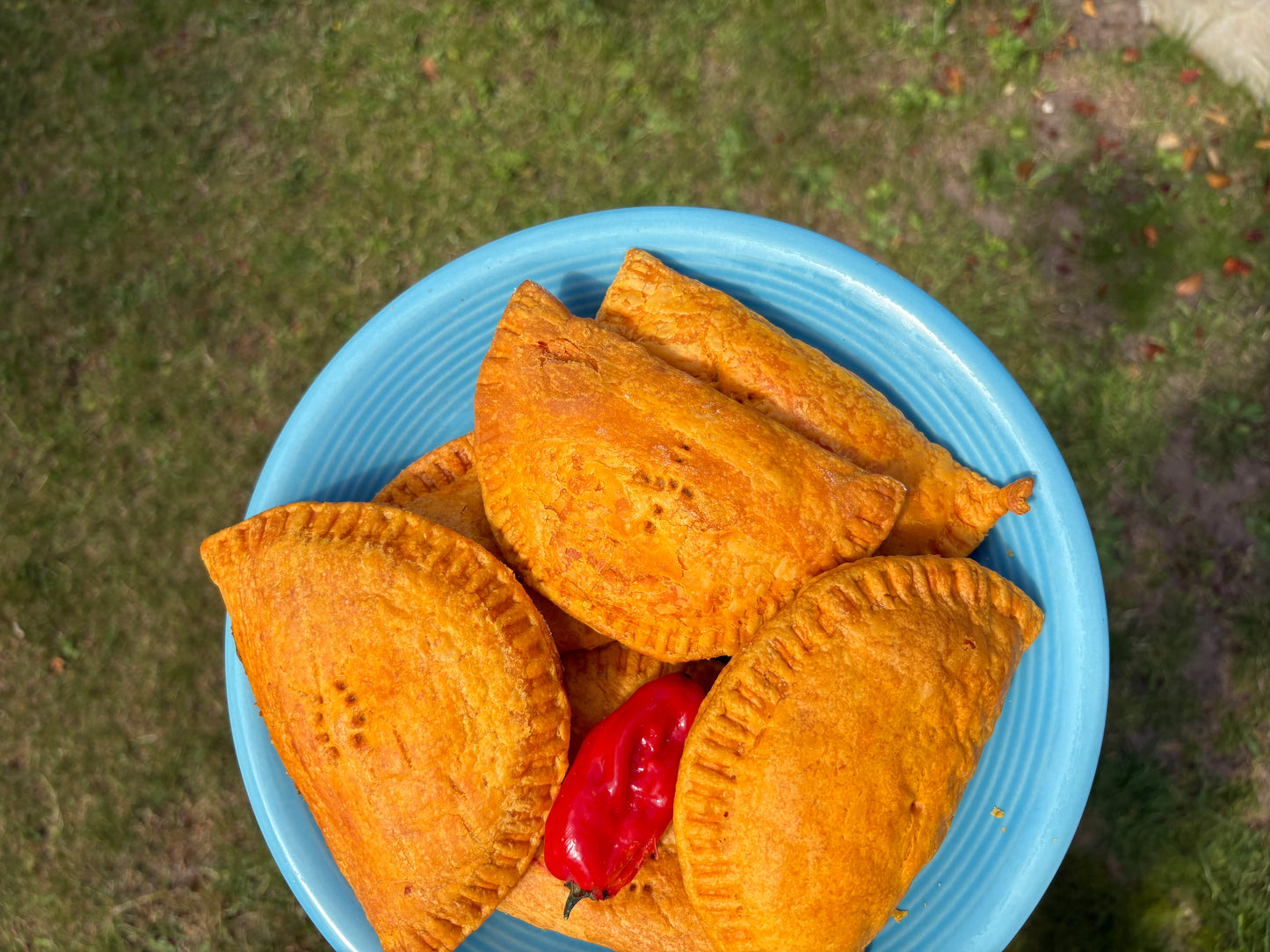 Blue bowl filled with golden-brown Patties on a grassy background