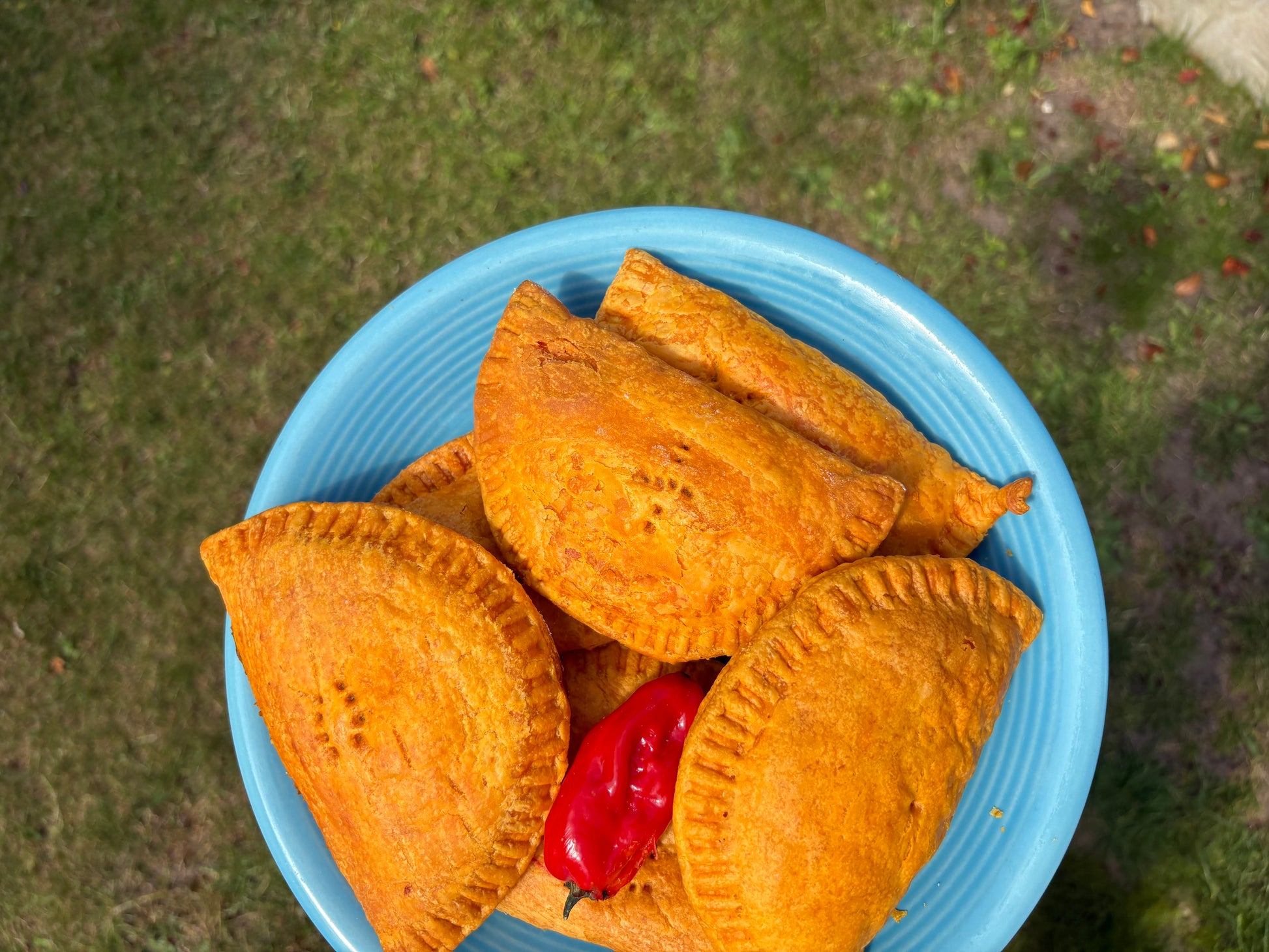 Blue bowl filled with golden-brown Patties on a grassy background