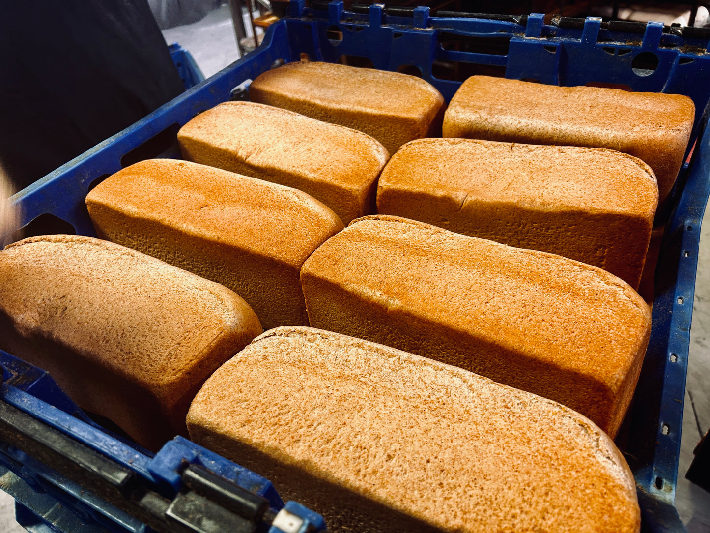 Caribbean Bread and Buns